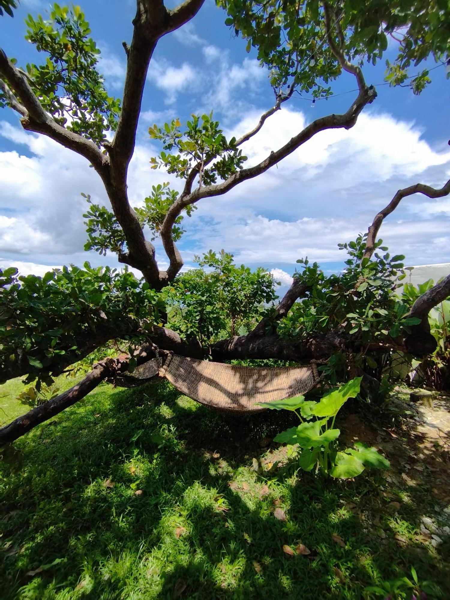 Ocean Green Eco Lodge Puerto Princesa Ngoại thất bức ảnh